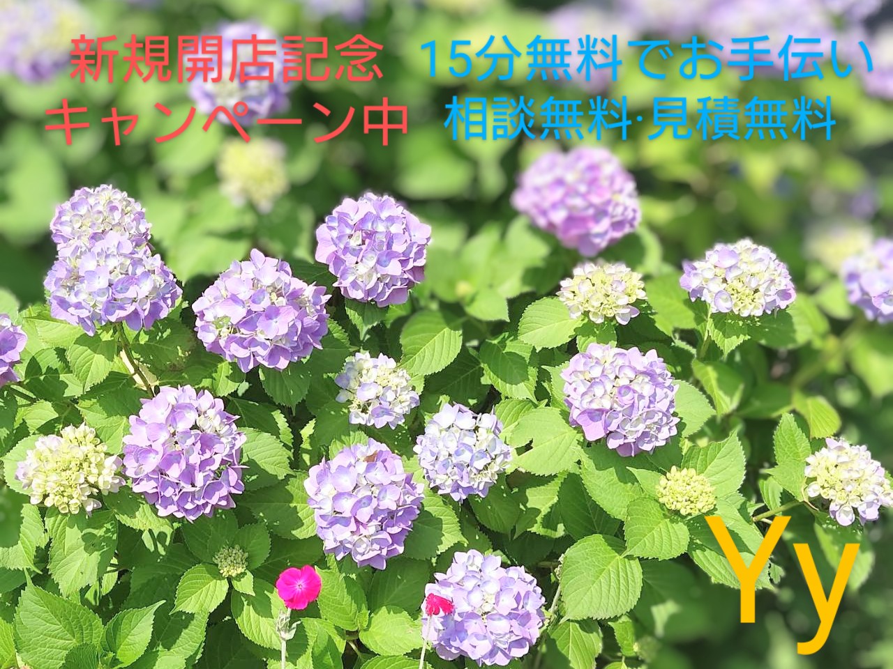 キャンペーン情報
